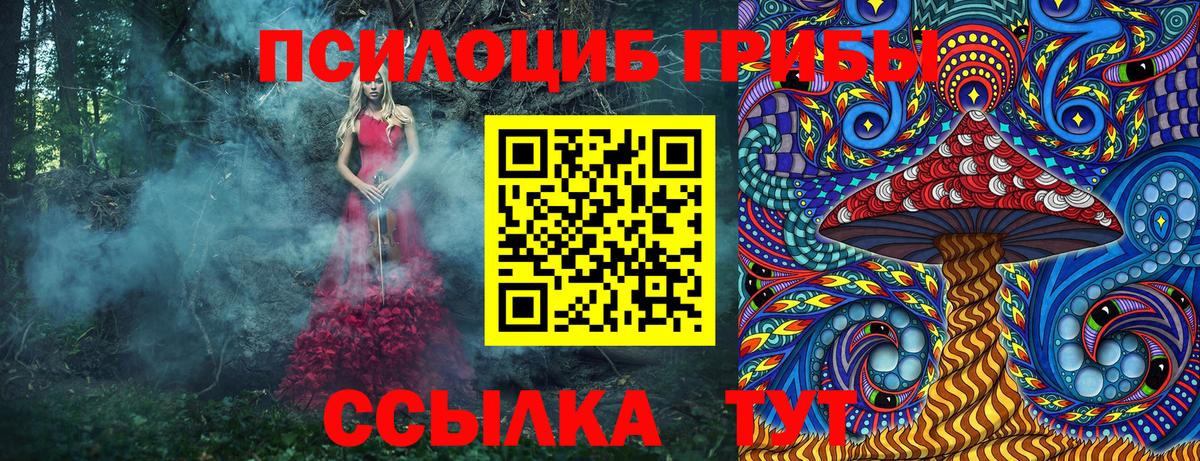 что такое   Галлюциногенные грибы Cubensis  Вход с VPN  Псилоцибиновые грибы Psilocybine cubensis  Аша 